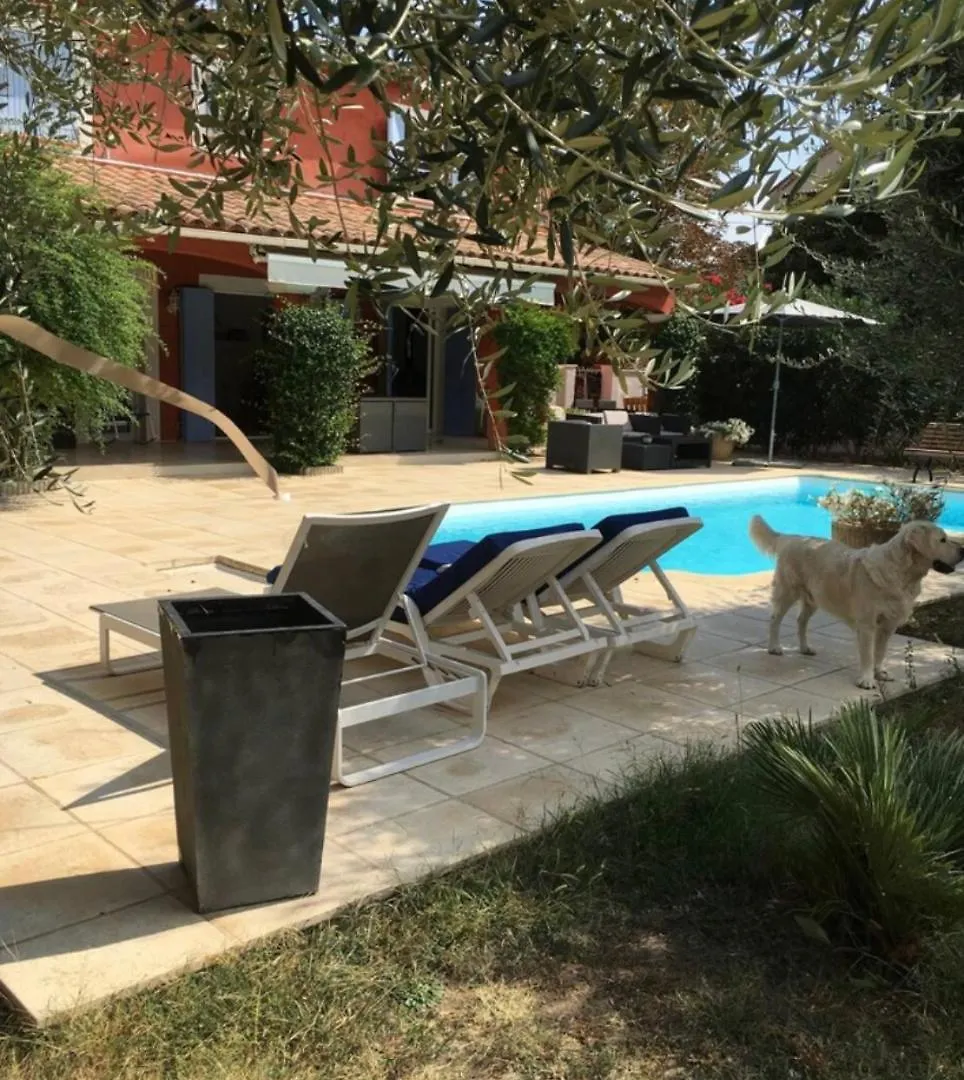 Villa Cosy 5Km Cannes Pegomas France
